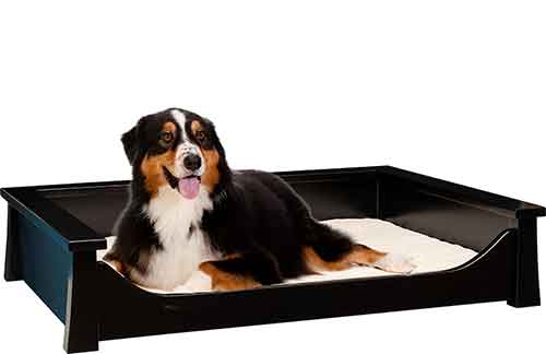 Springville Large Pet Lounge with Pad [ML-SPPLL]